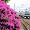 17分も遅れて通過する快速マリンライナー　鬼無駅