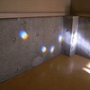 みかんの仕分け / ダンスの練習 / 三迫農園の紅葉