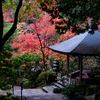 広島市街からのアクセスも良い 三滝寺の紅葉