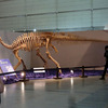 ギガ恐竜展レポ