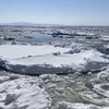 冬の網走、流氷観光旅③網走流氷観光砕氷船おーろら号乗船編