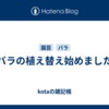 バラの植え替え始めました