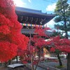 【京都】『金戒光明寺』に行ってきました。  京都紅葉 女子旅 京都観光 