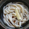 【本格手打 はゆかうどん】綾川町のコシしっかりうどん！ / 香川 讃岐うどん