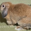 アイスで昔を思い出す