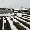 冷え冷え