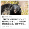 【クマ被害速報！……5／2－3　福島でクマに襲われ男女二人軽傷、福島県・秋田県「ツキノワグマ注意報」発令】＃496