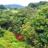 鶴田沼（秋田県由利本荘）