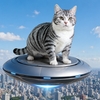UFOに乗った猫