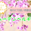寒さにも強い常緑低木樹♪ 「ハーデンベルギア」 育て方＆管理方法です♪　2月3日