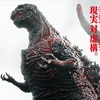 弱さを知るには-シン・ゴジラ編-