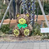 ポケウォーカー歩数=6,681＼HJ-326Fは「6,974」(2025.01/18記す) #キュアパン