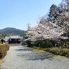 【京都】【御朱印】『随心院』に行ってきました。 京都旅行 京都観光 女子旅 主婦ブログ 京都桜