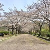 七谷川 和らぎの道 @ 京都府亀岡市