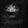 彼岸の寺
