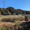 雑草の草刈り