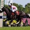 競馬初心者必見☆馬券予想🔥〜京都新聞杯〜日本ダービーへ繋げるか！？