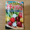 秋植え野菜 その3：彩り鮮やか、レインボーラディッシュ
