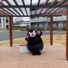くまモン　冬支度
