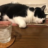 幸せを感じるひと時