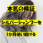 色落ちしない 実際に1か月かけてシルバーシャンプーの効果を検証した 僕はみつけてみたい