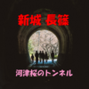 河津桜のトンネル 新城 長篠、河津桜と菜の花 西古瀬川 豊川【東海ドライブ】