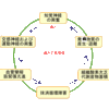 炎症と痛みは同じ？？