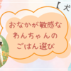 おなかが敏感な愛犬のごはん選び！獣医師さんのおすすめ☆～犬と渡米～