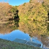 真光寺公園の池（仮称）（東京都町田）