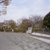 豊田香りの公園の桜（ソメイヨシノ）