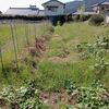 除草～とりあえず終了