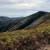 金剛堂山：栃谷登山口から、麓の紅葉と山頂の稜線を楽しむ