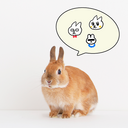むぎ と パパ