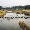 京都スナップ