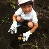 幼稚園と小学校