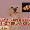 【㊗SKZ-REPLAYリリース記念】Stray Kids 8人それぞれの音楽のかたち