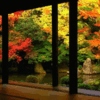 紅葉の季節、『そうだ、京都行こう』もいいけど近場もまた良し
