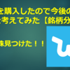 WISHを購入したので今後の業績や株価を考えてみた【銘柄分析】