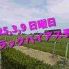 2025,3,9 日曜日 トラックバイアス予想 (中山競馬場　阪神競馬場)