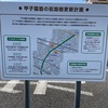 甲子園筋の街路樹更新計画が策定されています