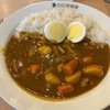 やっとこさCoCo 壱番屋にいきました