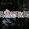 怖い話「危険な好奇心」徹底考察｜実話検証・中年女の正体・元ネタ・結末を解説