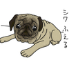 パグシワの進化