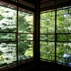 新緑の瑠璃光院・京都
