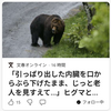 【まさにクマイシス？！…… 9/14ー17　クマに顔をひっかかれる　高齢女性がケガ　山形・酒田市】#744