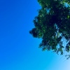 ５月９日