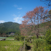 京都/声明が響く大原の寺