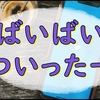 SNSとの付き合いを減らしていきたい私の何度目かの雑記