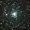 星見娘で電視観望5011(おおいぬ座タウ星星団)
