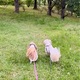 いつものコースをサクッと